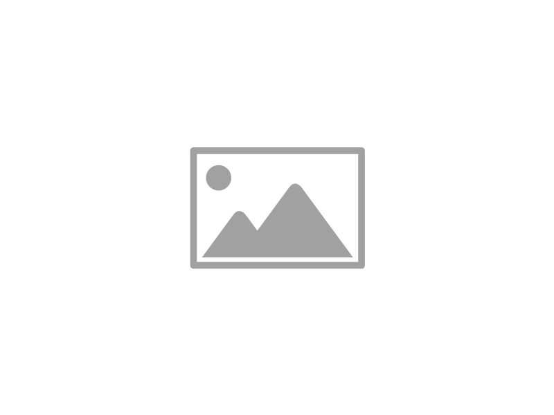 Company Introduction
